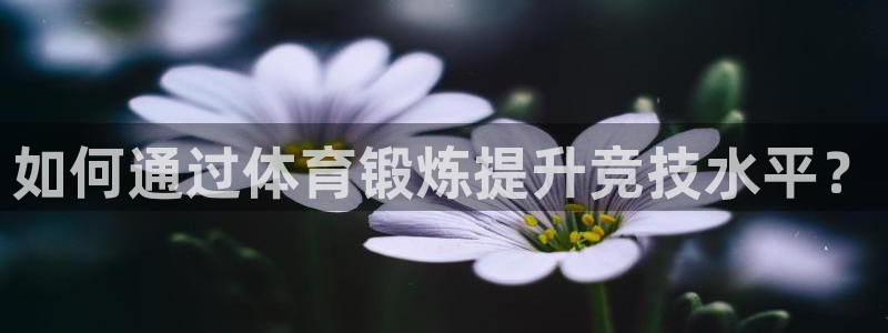 必一运动体育皮尔斯：如何通过体育锻炼提升竞技水平？