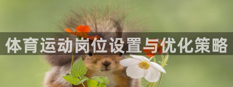 b体育必一运动官网：体育运动岗位设置与优化策略