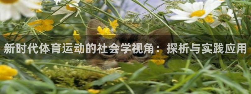必一运动体育官网：新时代体育运动的社会学视角：探析与实践应用