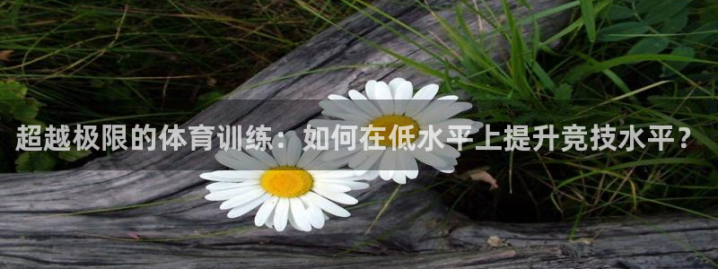必一运动体育网页：超越极限的体育训练：如何在低水平上提升竞技水平？