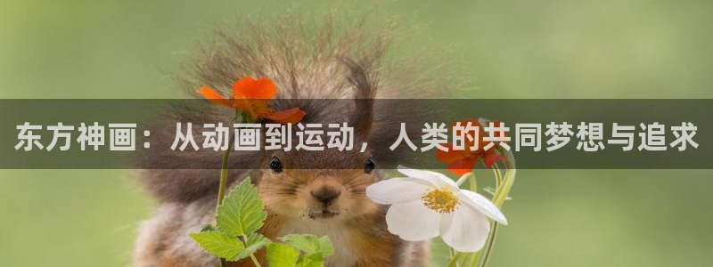 b体育必一运动官网：东方神画：从动画到运动，人类的共同梦想与追求