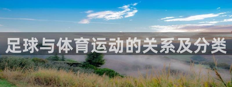 bsports必一运动：足球与体育运动的关系及分类