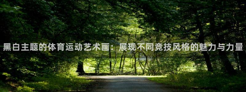 必一运动全站：黑白主题的体育运动艺术画：展现不同竞技风格的魅力与力量