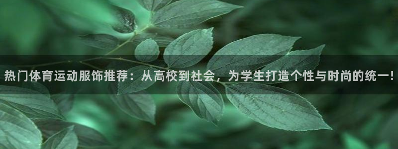 必一运动B-sports官方网站：热门体育运动服饰推荐：从高校到社会，为学生打造个性与时尚的统一!