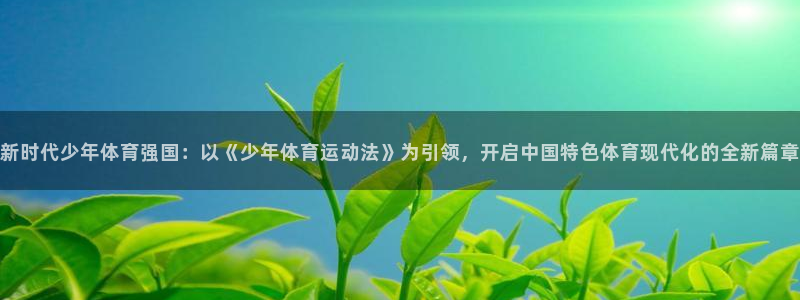 bsports必一运动：新时代少年体育强国：以《少年体育运动法》为引领，开启中国特色体育现代化的全新篇章